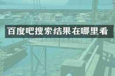 百度吧搜索结果在哪里看