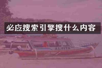 必应搜索引擎搜什么内容