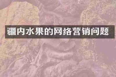 疆内水果的网络营销问题