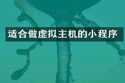 适合做虚拟主机的小程序