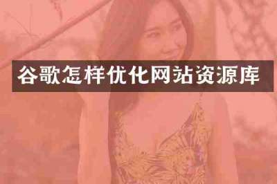 谷歌怎样优化网站资源库