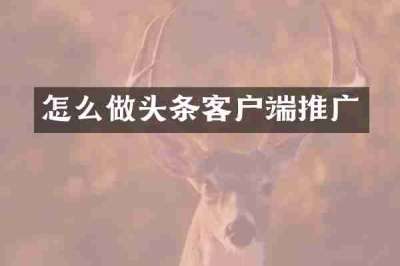 怎么做头条客户端推广