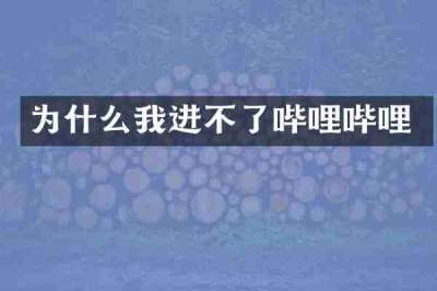 为什么我进不了哔哩哔哩
