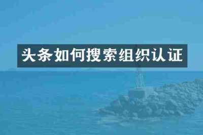 头条如何搜索组织认证