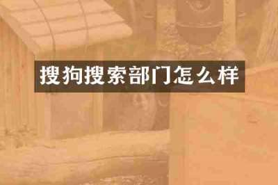 搜狗搜索部门怎么样