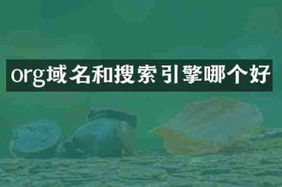 org域名和搜索引擎哪个好