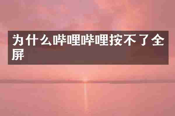 为什么哔哩哔哩按不了全屏