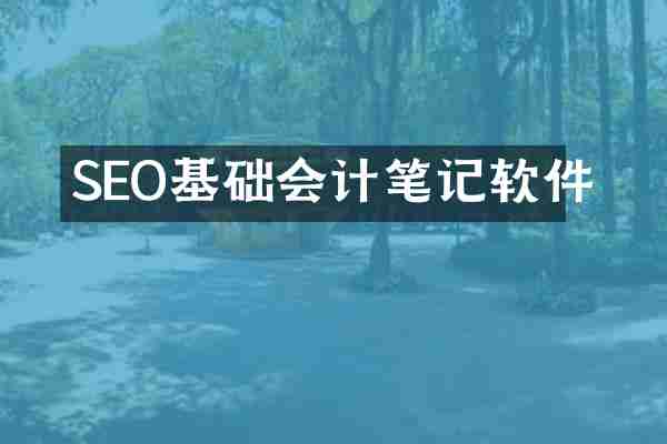 SEO基础会计笔记软件