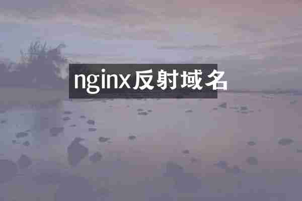 nginx反射域名