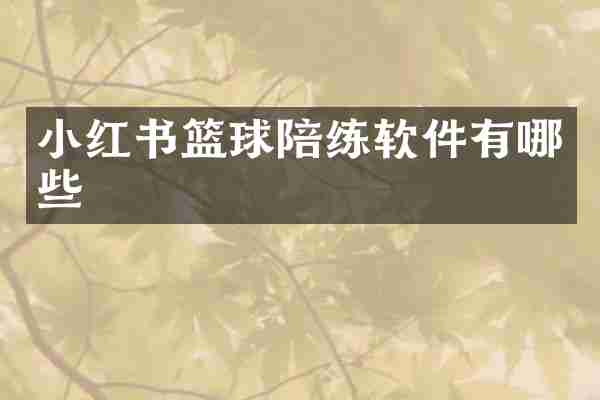 小红书篮球陪练软件有哪些