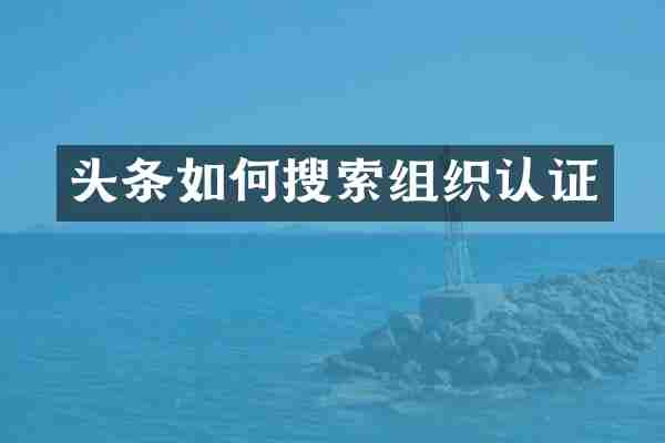 头条如何搜索组织认证