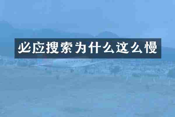 必应搜索为什么这么慢