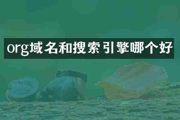 org域名和搜索引擎哪个好