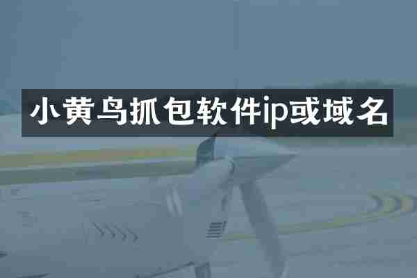 小黄鸟抓包软件ip或域名
