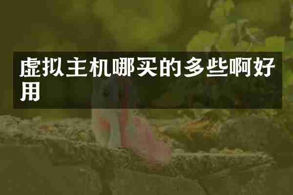 虚拟主机哪买的多些啊好用