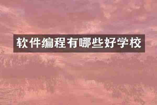 软件编程有哪些好学校