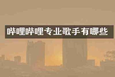 哔哩哔哩专业歌手有哪些