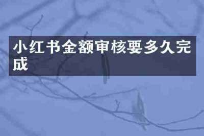 小红书金额审核要多久完成