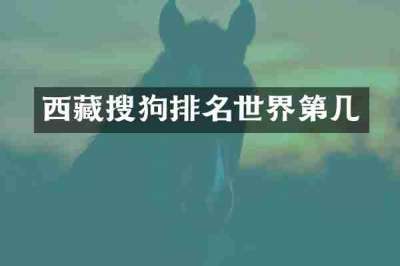 西藏搜狗排名世界第几