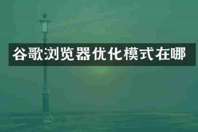 谷歌浏览器优化模式在哪
