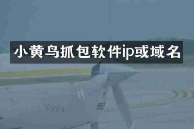 小黄鸟抓包软件ip或域名