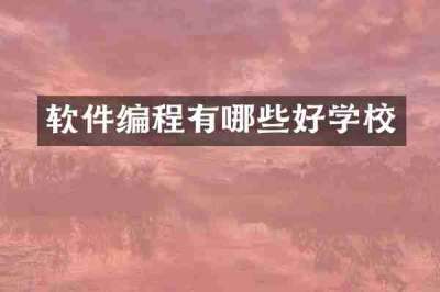 软件编程有哪些好学校