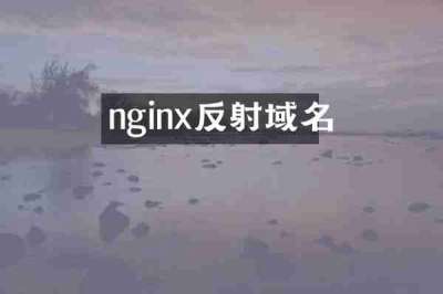 nginx反射域名