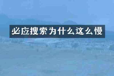 必应搜索为什么这么慢