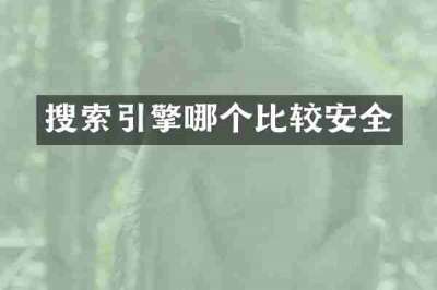 搜索引擎哪个比较安全