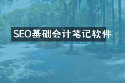 SEO基础会计笔记软件