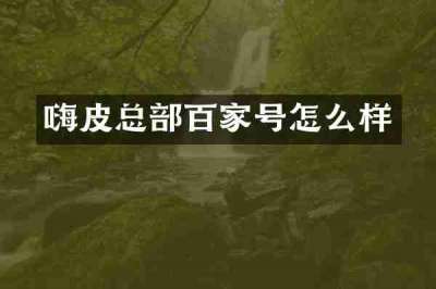 嗨皮总部百家号怎么样