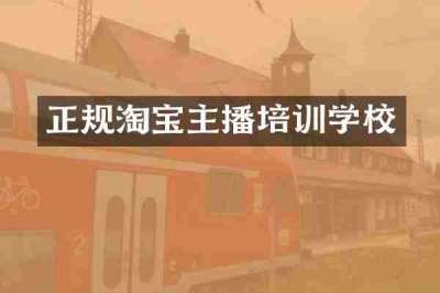 正规淘宝主播培训学校