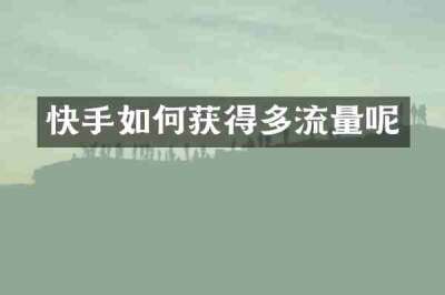快手如何获得多流量呢