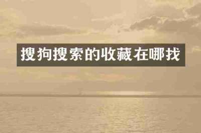 搜狗搜索的收藏在哪找
