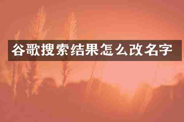 谷歌搜索结果怎么改名字