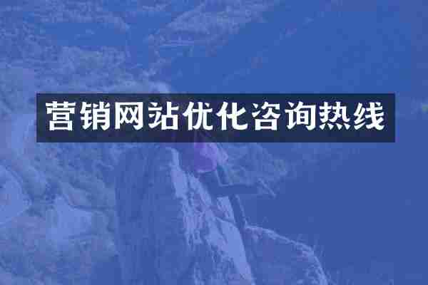 营销网站优化咨询热线