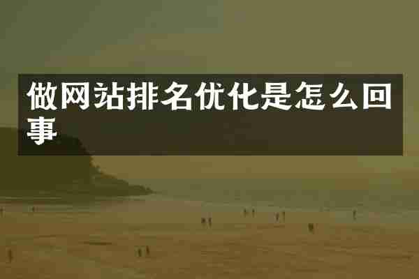 做网站排名优化是怎么回事