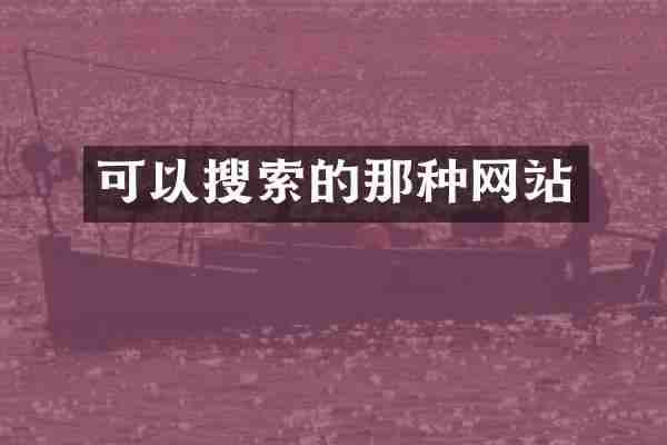 可以搜索的那种网站