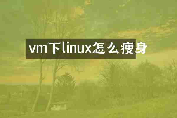 vm下linux怎么