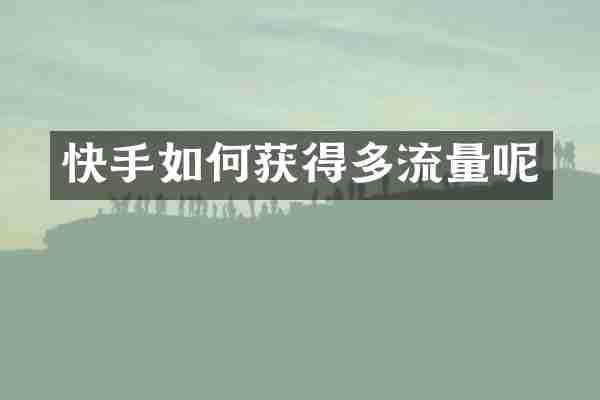 快手如何获得多流量呢