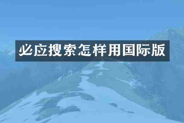 必应搜索怎样用国际版