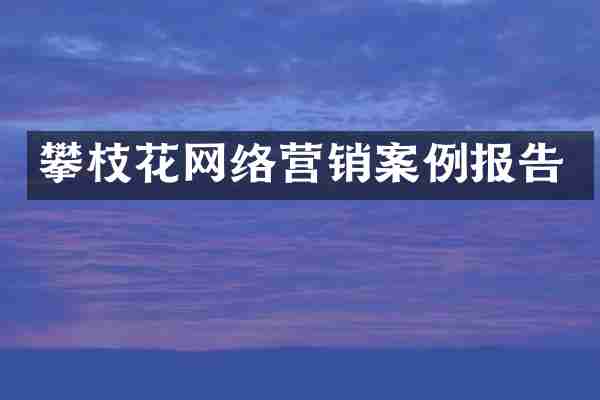 攀枝花网络营销案例报告