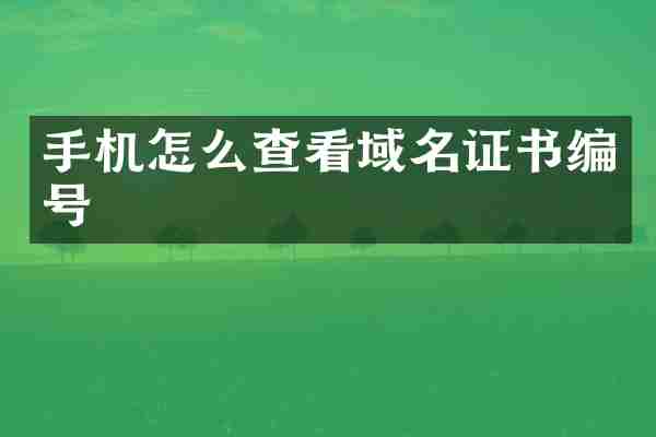 手机怎么查看域名证书编号