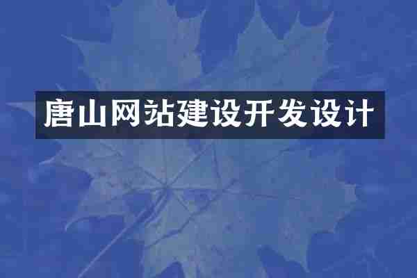 唐山网站建设开发设计