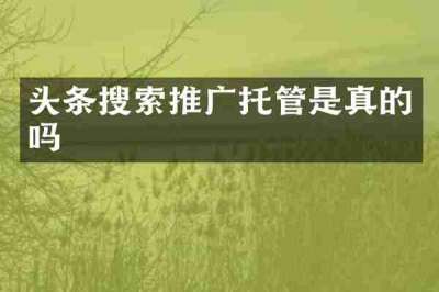 头条搜索推广托管是真的吗