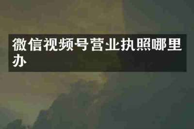 微信视频号营业执照哪里办