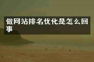 做网站排名优化是怎么回事