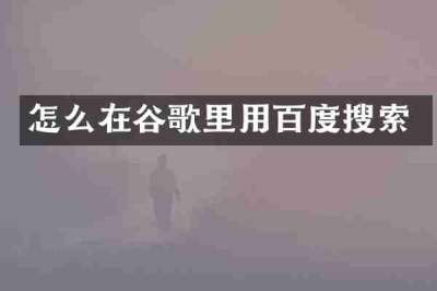 怎么在谷歌里用百度搜索