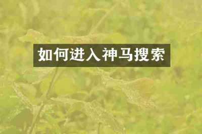 如何进入神马搜索