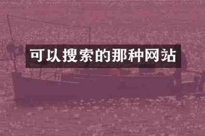 可以搜索的那种网站